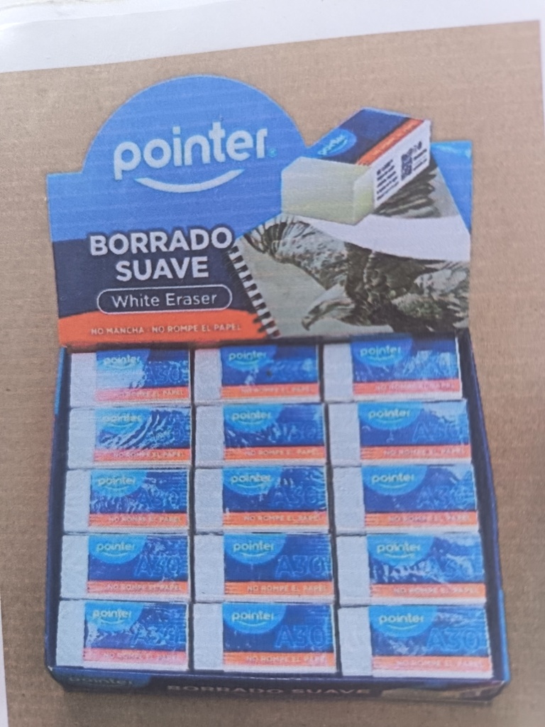 Borrador pointer pequeño 30 u