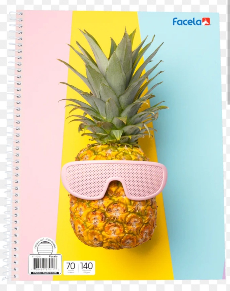 Cuaderno conquistador esp surtido #3 docena 