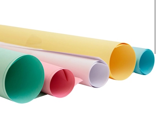 [1579421] Cartulina pliego 25 u colores