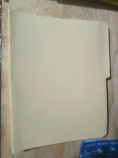 [D48] Folder corriente tamaño carta 25 u