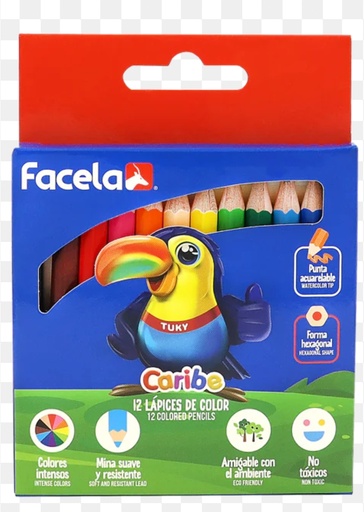 [D63] Lapiz de color corto 12 u