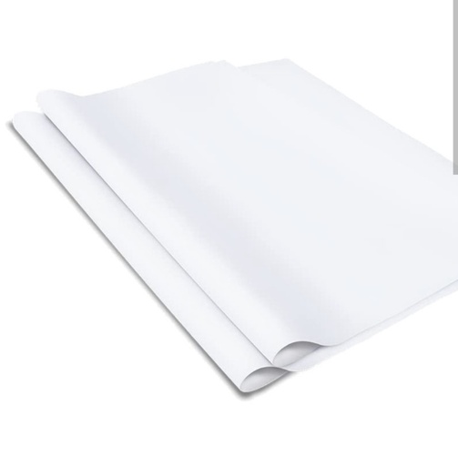 [1757167] Papel bond pliego blanco 25 u