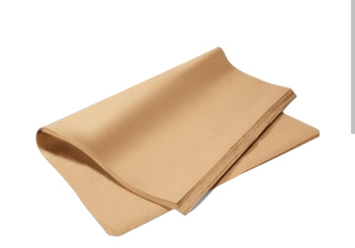 [1780402-1] papel craft resma 500 pliegos