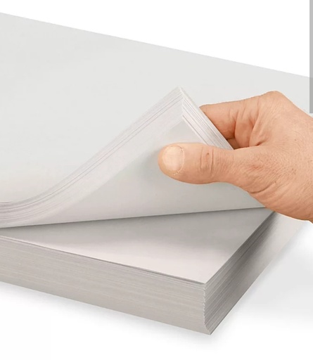 [1863356] Papel periódico resma 500