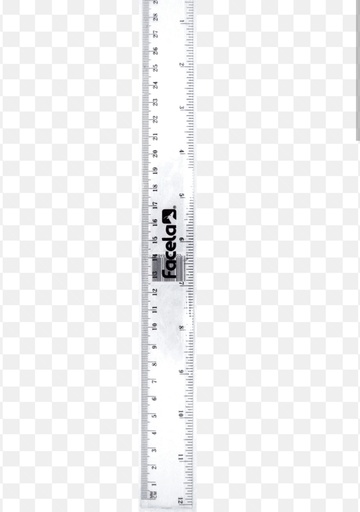 [D71] Regla 30 cm 12 u